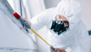 Best Fumigation Services  in Scenic, AZ